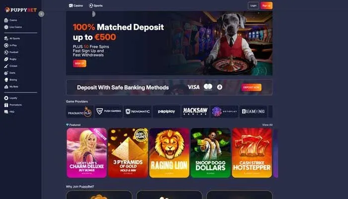 PuppyBet - Registrering - skärmdump av casinots hemsida